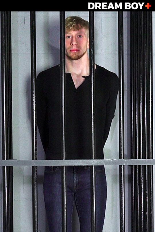 Political Prisoner series cover