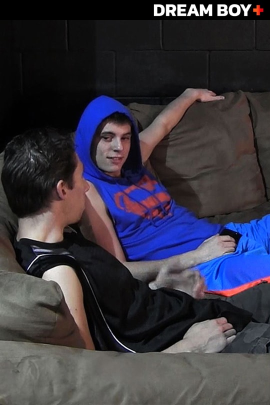 Roommate Revenge series cover
