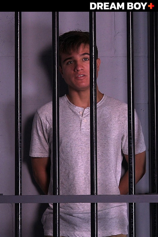 The Delinquent series cover