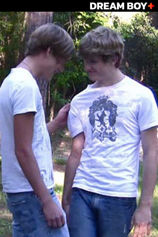 Tickle Twinks series cover