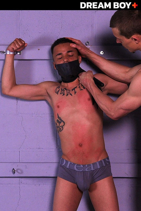 Torture Twink series cover