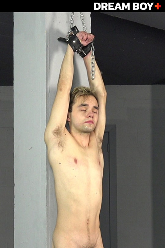 Young Cock Torture series cover
